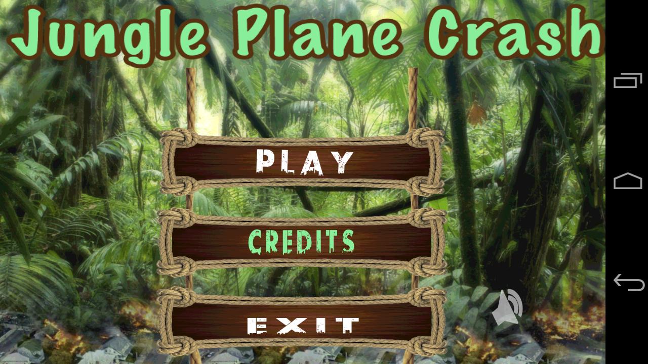 Jungle Plane Crash