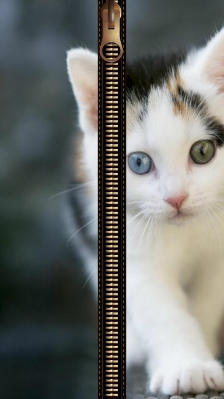 Cat Zipper Screen Lock