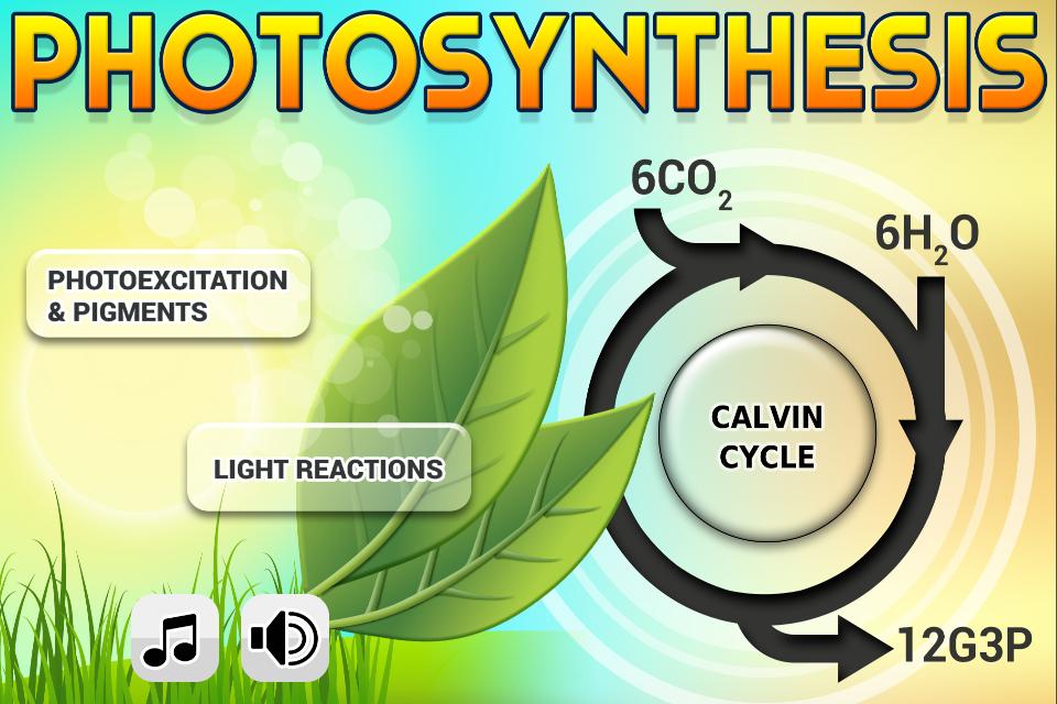 Biology Photosynthesis