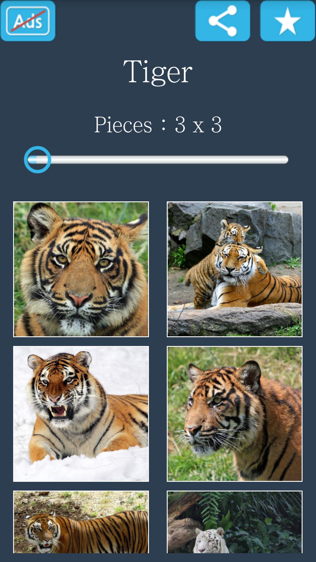 Jigsaw Puzzle: Tiger