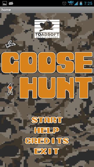 Goose Hunt