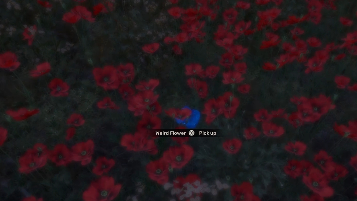 Stalker 2에서 이상한 꽃은 무엇을합니까?