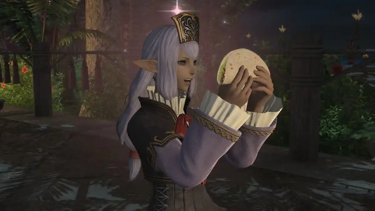 ffxiv: Echoes of Vana'diel ทำให้ฉันคิดถึงและฉันไม่ได้เล่น ffxi