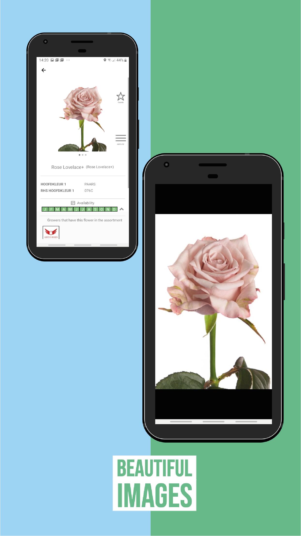 FlowerBook