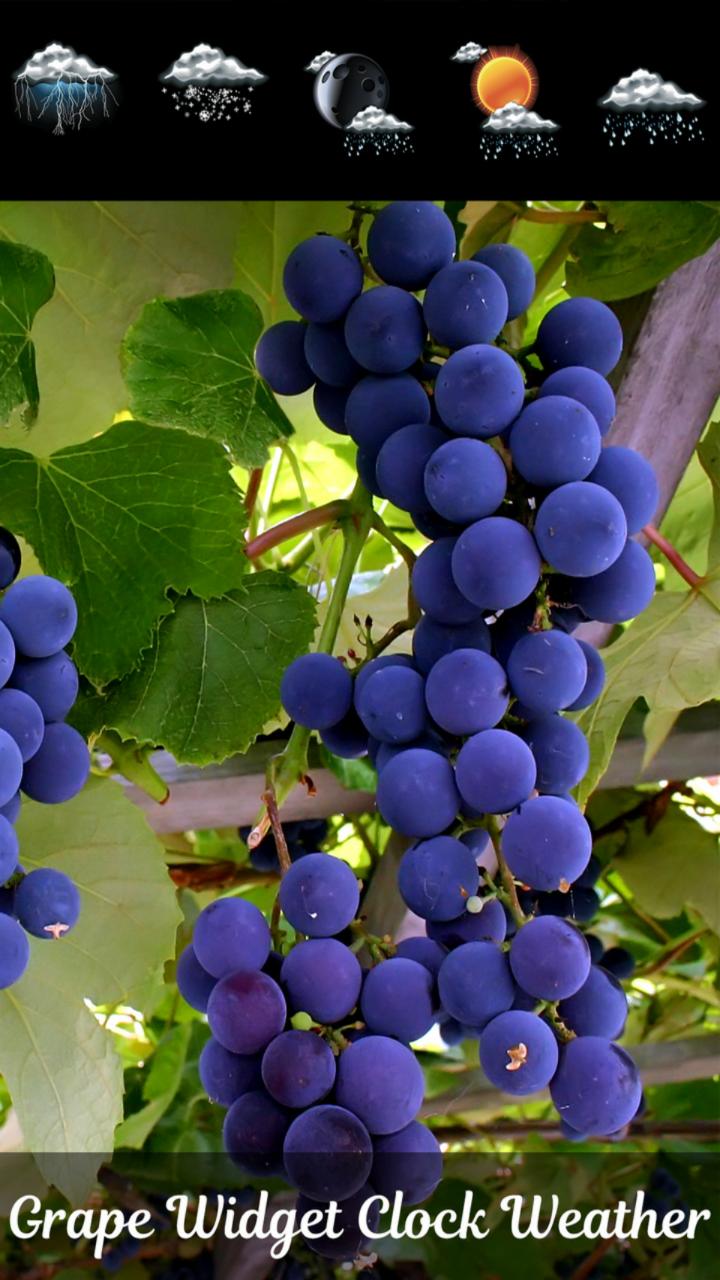 Grape Widget Clock Weather