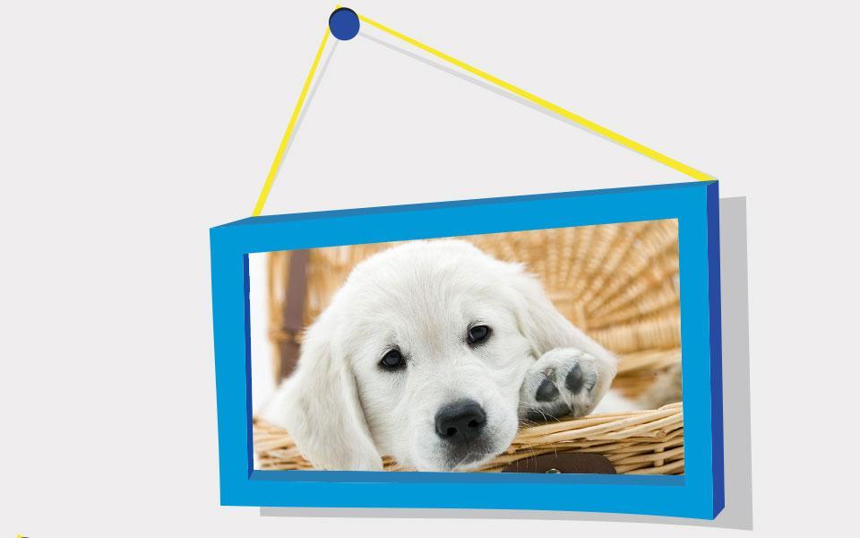 Puppies Puzzle: Retriever
