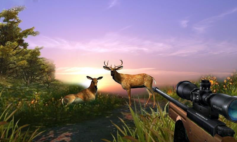 Hunt Deer In The Wild